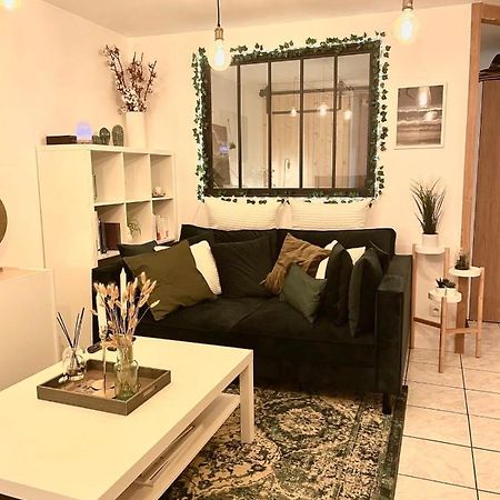 Petit Cocon Au Coeur D'Annecy Apartment Bagian luar foto
