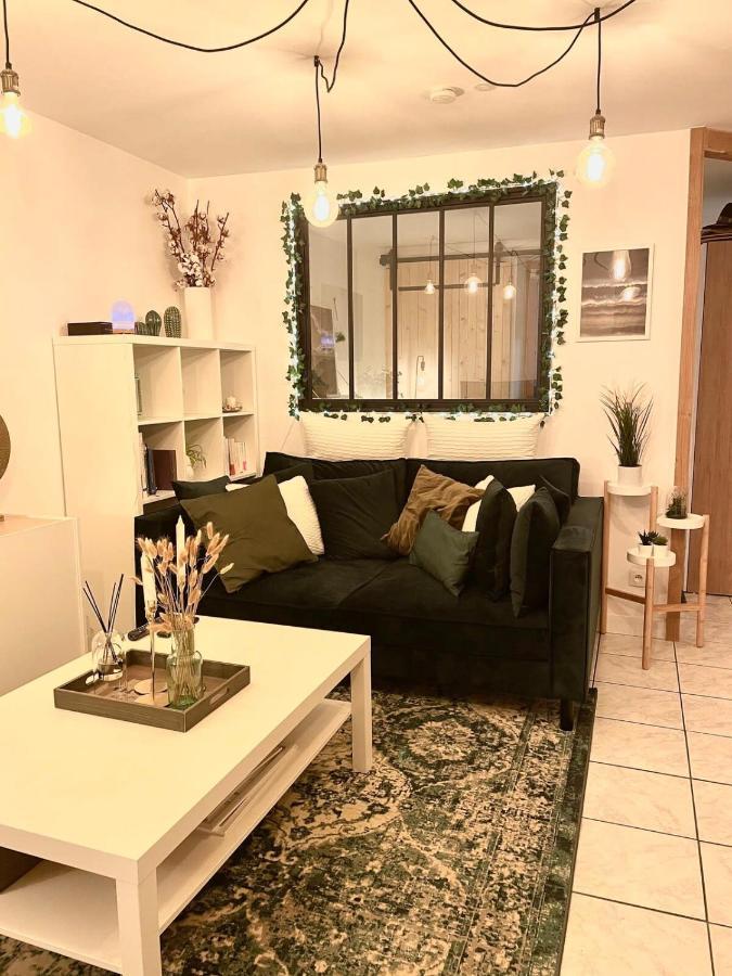 Petit Cocon Au Coeur D'Annecy Apartment Bagian luar foto