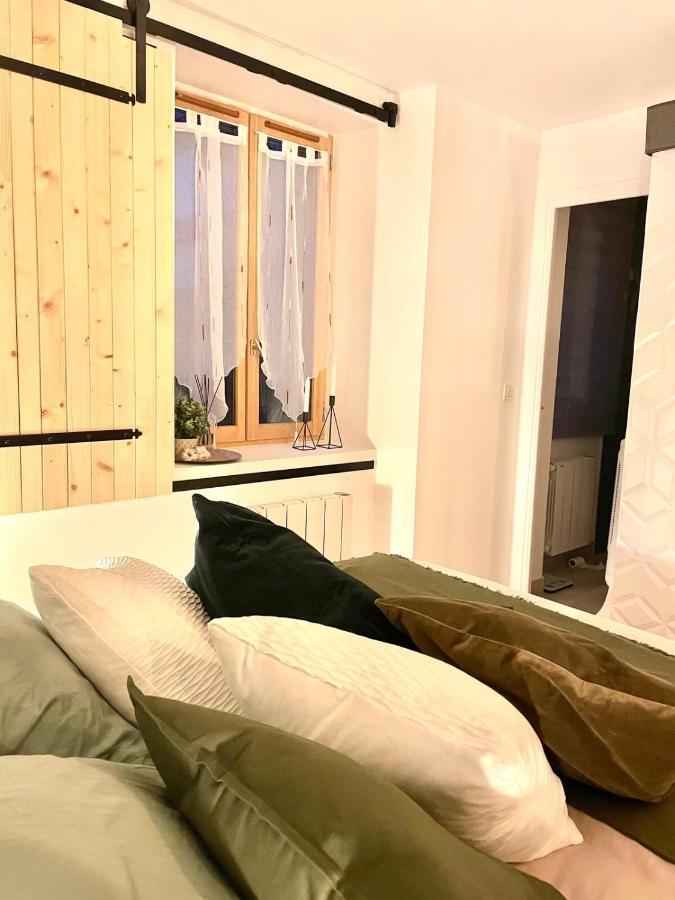 Petit Cocon Au Coeur D'Annecy Apartment Bagian luar foto