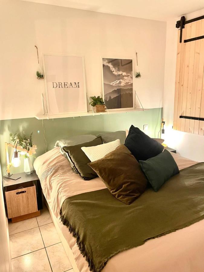 Petit Cocon Au Coeur D'Annecy Apartment Bagian luar foto